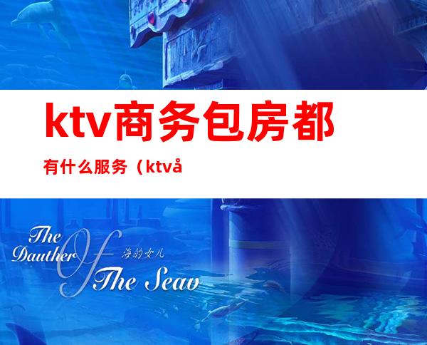 ktv商务包房都有什么服务(ktv商务包是什么样的)
