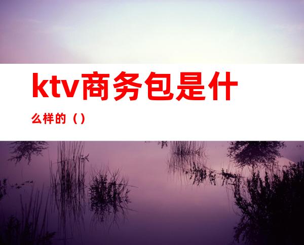 ktv商务包是什么样的()