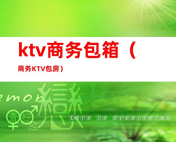 ktv商务包箱(商务KTV包房)