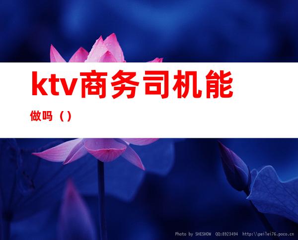 ktv商务司机能做吗()