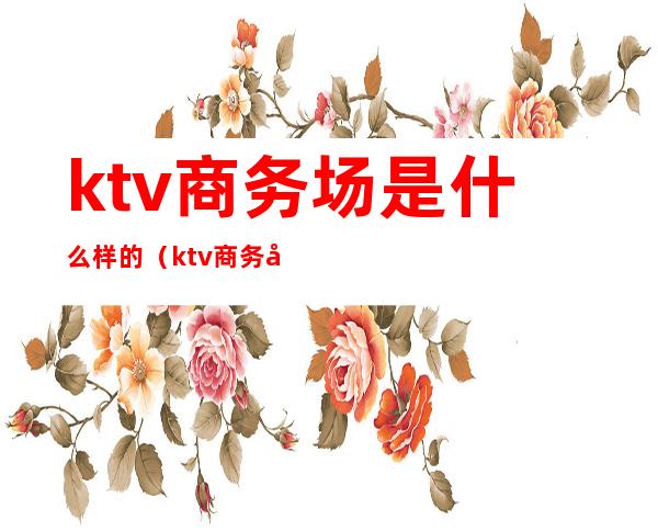 ktv商务场是什么样的(ktv商务场是干什么的)