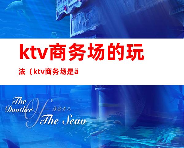 ktv商务场的玩法(ktv商务场是什么样子)