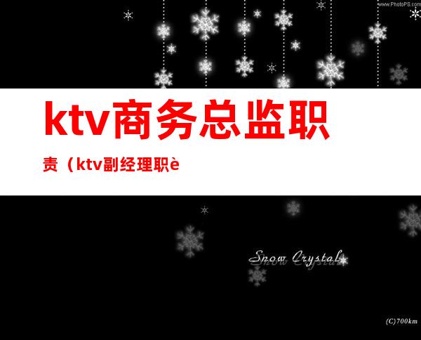 ktv商务总监职责(ktv副经理职责)