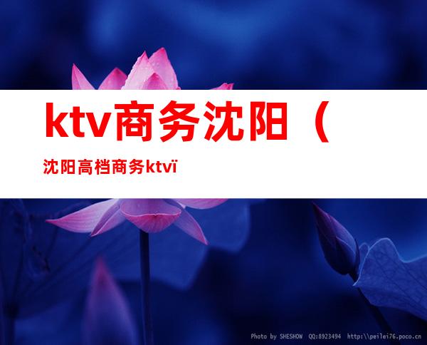 ktv商务沈阳(沈阳高档商务ktv)