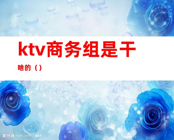 ktv商务组是干啥的（）