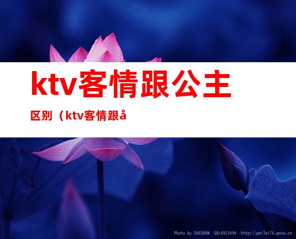 ktv客情跟公主区别(ktv客情跟公主区别在哪)