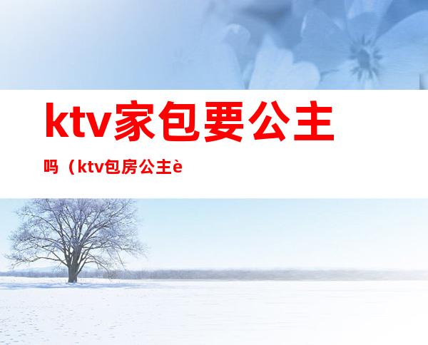 ktv家包要公主吗（ktv包房公主违法吗）