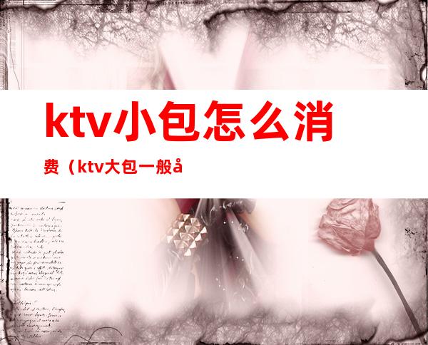 ktv小包怎么消费(ktv大包一般多少钱)