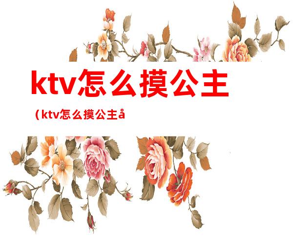 ktv怎么摸公主(ktv怎么摸公主图片)
