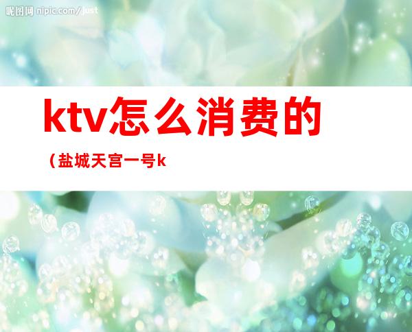 ktv怎么消费的(盐城天宫一号ktv怎么消费的)