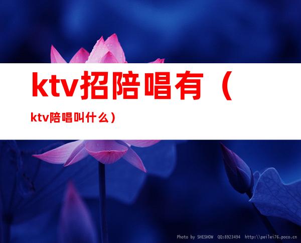 ktv招陪唱有（ktv陪唱叫什么）