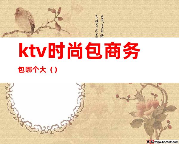 ktv时尚包商务包哪个大()