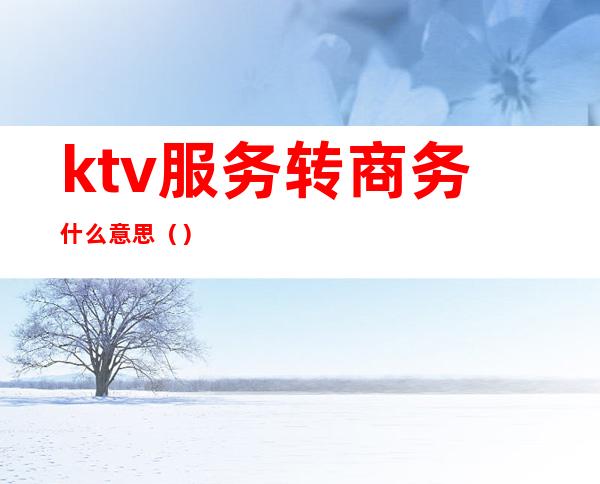 ktv服务转商务什么意思()