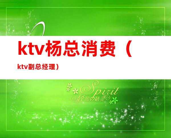 ktv杨总消费(ktv副总经理)
