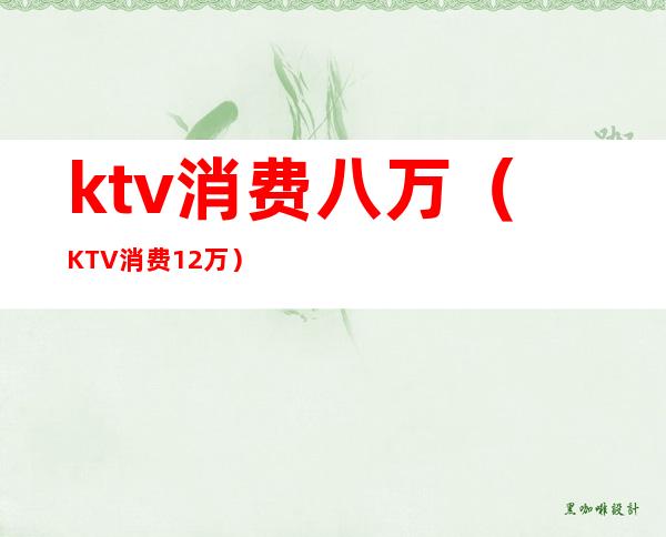 ktv消费八万(KTV消费12万)