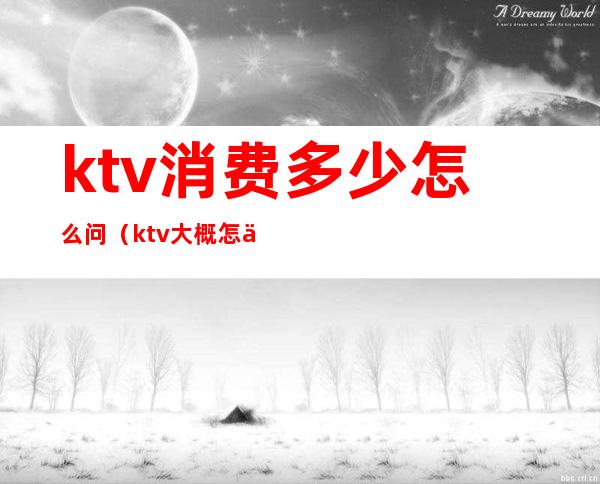 ktv消费多少怎么问(ktv大概怎么消费)