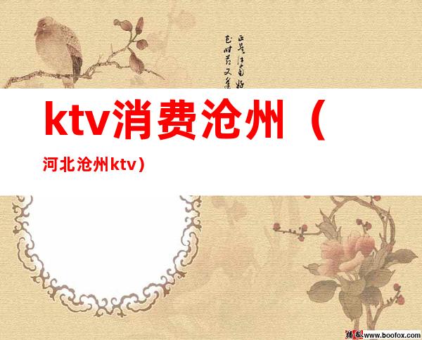 ktv消费沧州(河北沧州ktv)