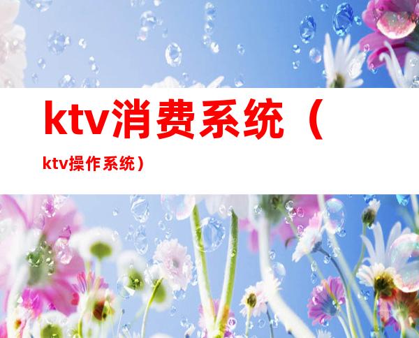 ktv消费系统(ktv操作系统)