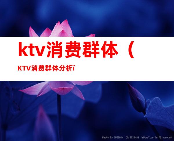ktv消费群体(KTV消费群体分析)