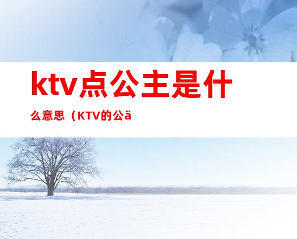 ktv点公主是什么意思(KTV的公主是什么意思)