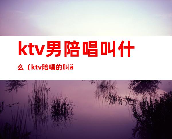 ktv男陪唱叫什么(ktv陪唱的叫什么)