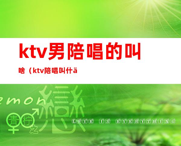 ktv男陪唱的叫啥(ktv陪唱叫什么)