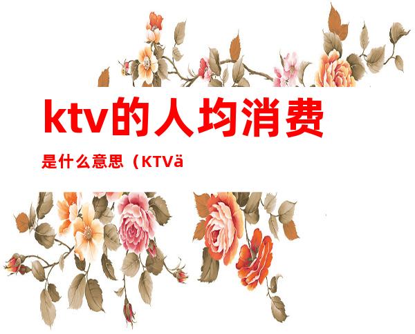ktv的人均消费是什么意思(KTV一般消费)