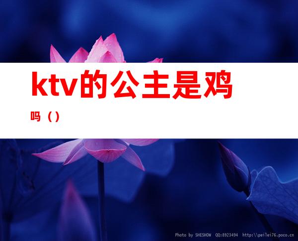 ktv的公主是鸡吗()