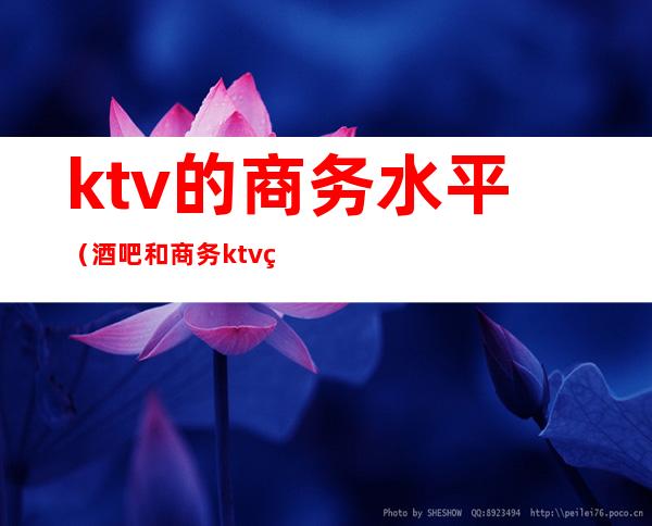ktv的商务水平(酒吧和商务ktv的消费)