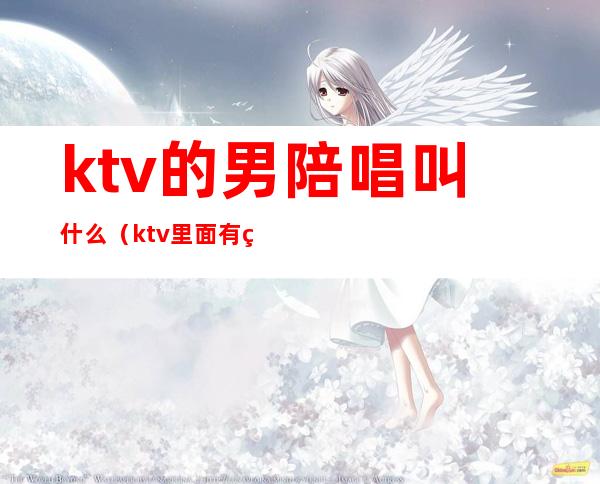 ktv的男陪唱叫什么(ktv里面有男的陪唱的吗)