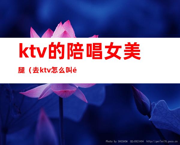 ktv的陪唱女美腿(去ktv怎么叫陪唱女)