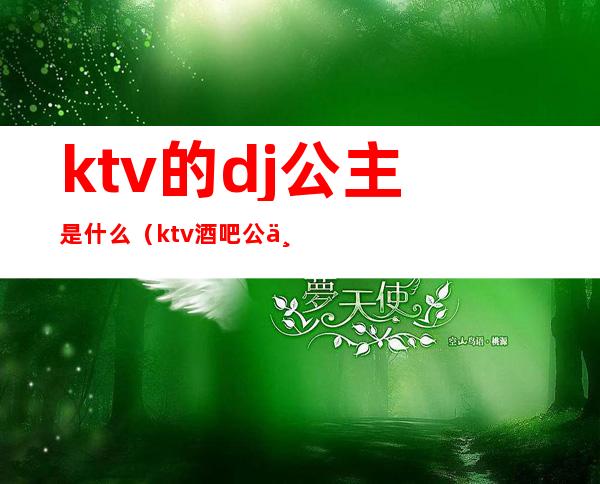 ktv的dj公主是什么(ktv酒吧公主是什么意思)