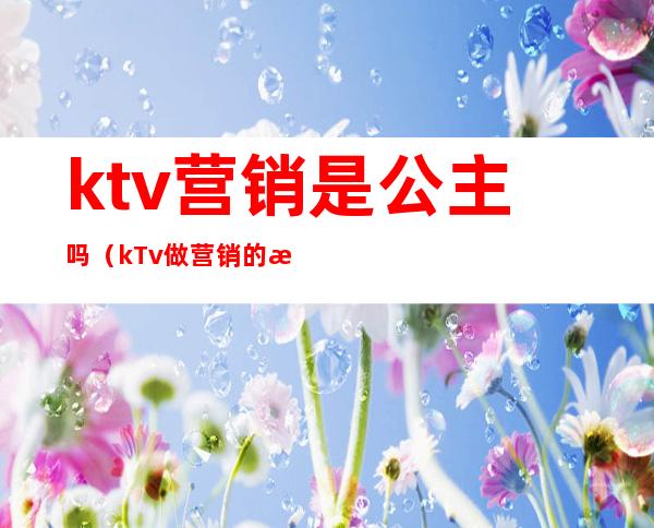 ktv营销是公主吗(kTv做营销的是公主吗)