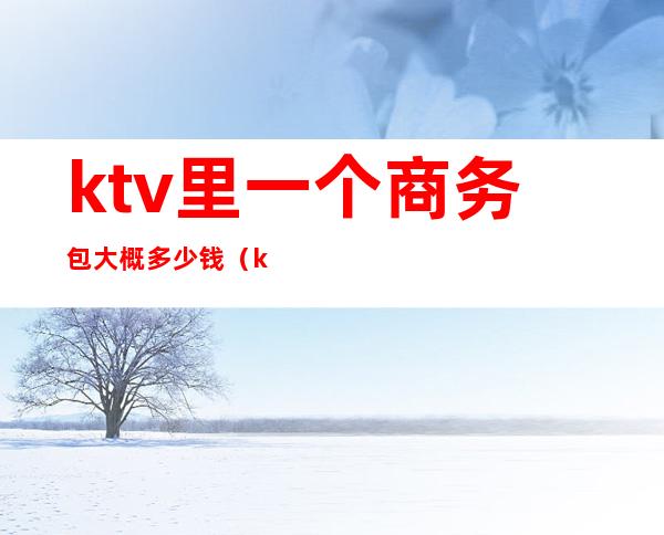 ktv里一个商务包大概多少钱(ktv豪华大包多少钱)