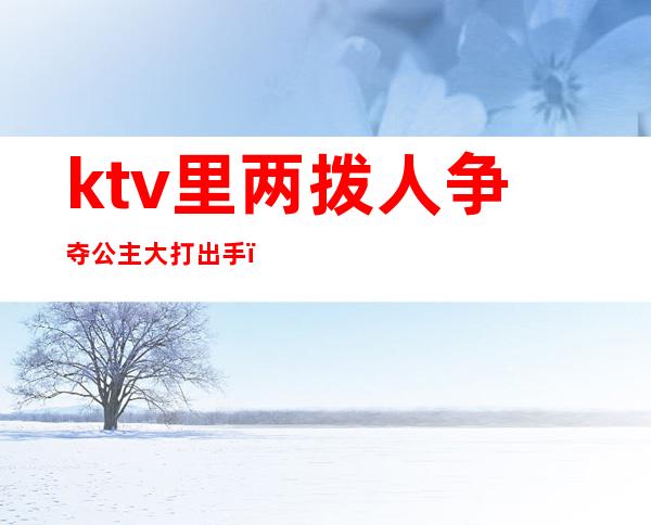 ktv里两拨人争夺公主大打出手(KTV公主打架)