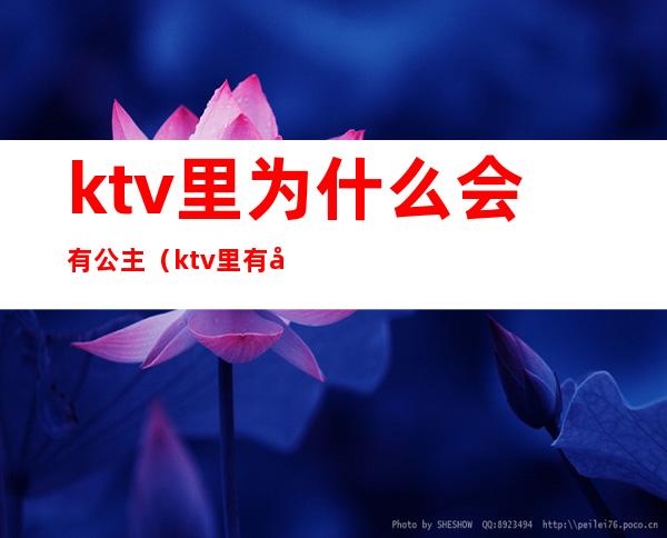 ktv里为什么会有公主（ktv里有公主为什么合法）