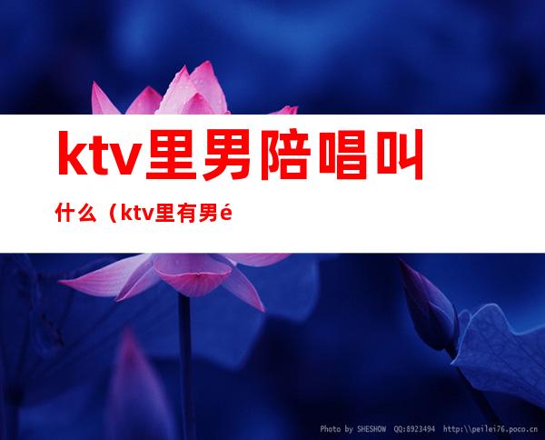 ktv里男陪唱叫什么(ktv里有男陪唱吗)