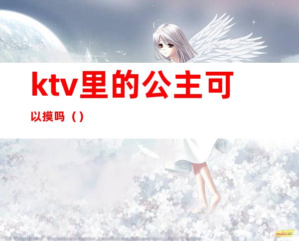 ktv里的公主可以摸吗()