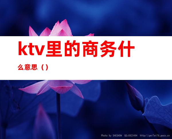 ktv里的商务什么意思（）