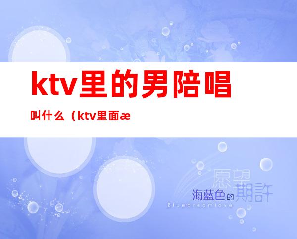 ktv里的男陪唱叫什么(ktv里面有男的陪唱的吗)