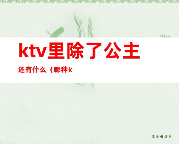 ktv里除了公主还有什么(哪种ktv才有公主)
