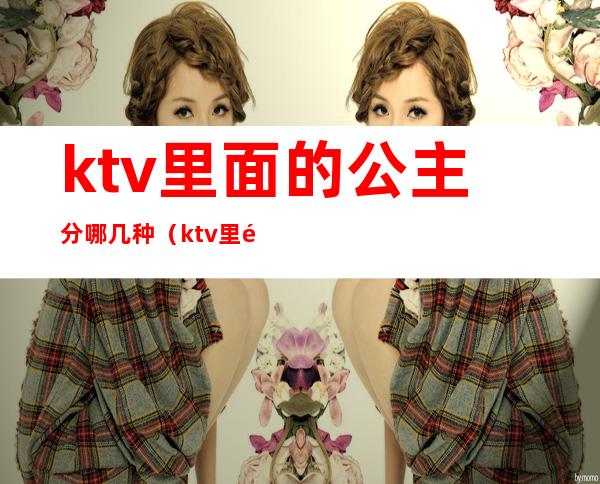 ktv里面的公主分哪几种(ktv里面有公主还有什么)