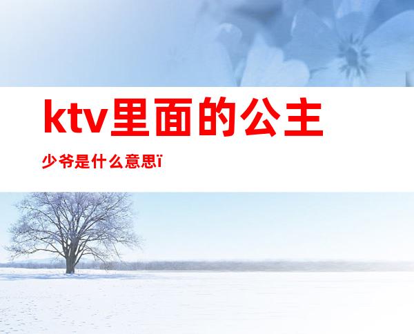 ktv里面的公主少爷是什么意思(ktv里的公主是啥意思)