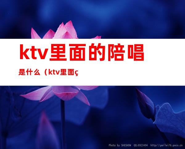 ktv里面的陪唱是什么(ktv里面的陪唱是什么意思)