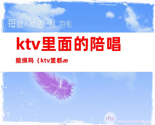 ktv里面的陪唱能摸吗（ktv里都有陪唱的吗）