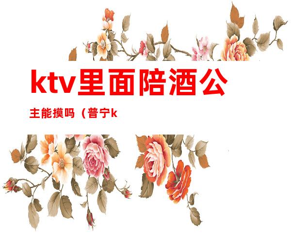 ktv里面陪酒公主能摸吗(普宁ktv公主陪酒)