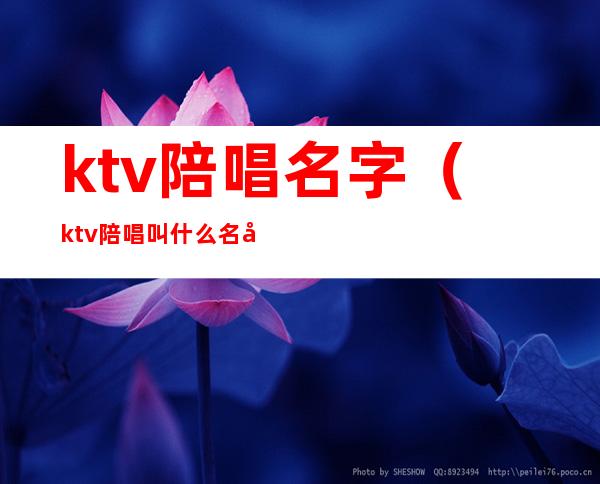 ktv陪唱名字(ktv陪唱叫什么名字)