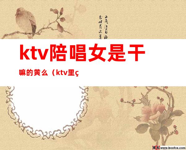 ktv陪唱女是干嘛的黄么(ktv里的女服务员陪唱歌吗)
