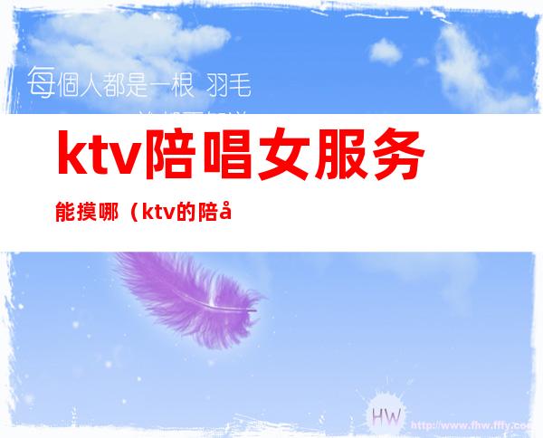 ktv陪唱女服务能摸哪(ktv的陪唱女有什么服务)
