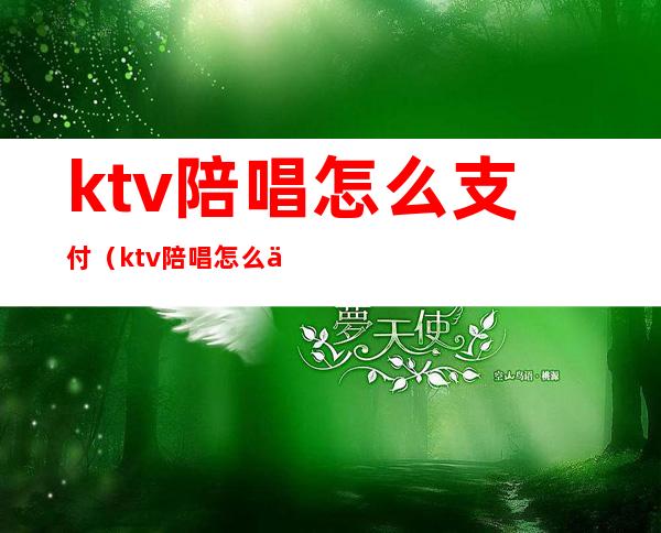 ktv陪唱怎么支付(ktv陪唱怎么付钱)